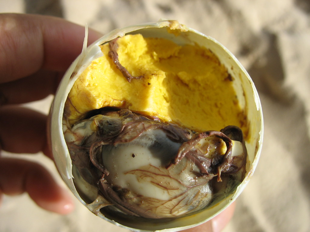 A balut egg's at a close-up