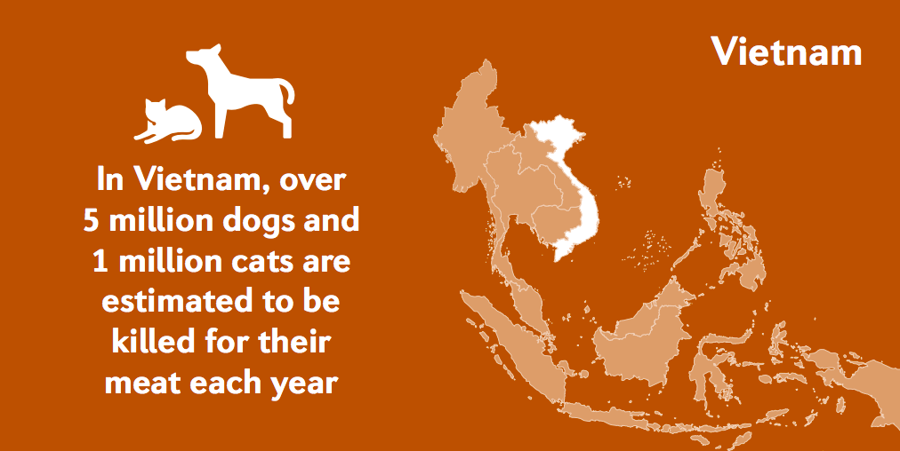 Dog meat consumption in Vietnam